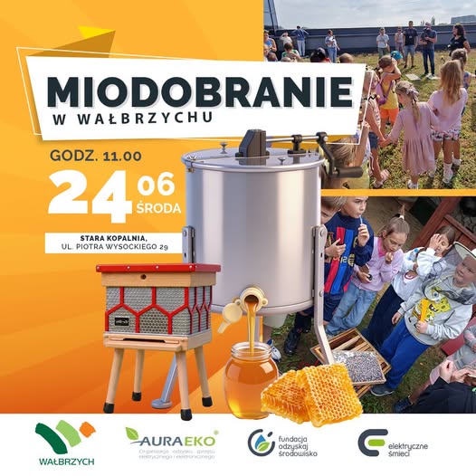 Miodobranie w Wałbrzychu