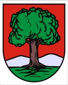 Pewne absolutorium
