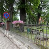Głuszyca pięknieje