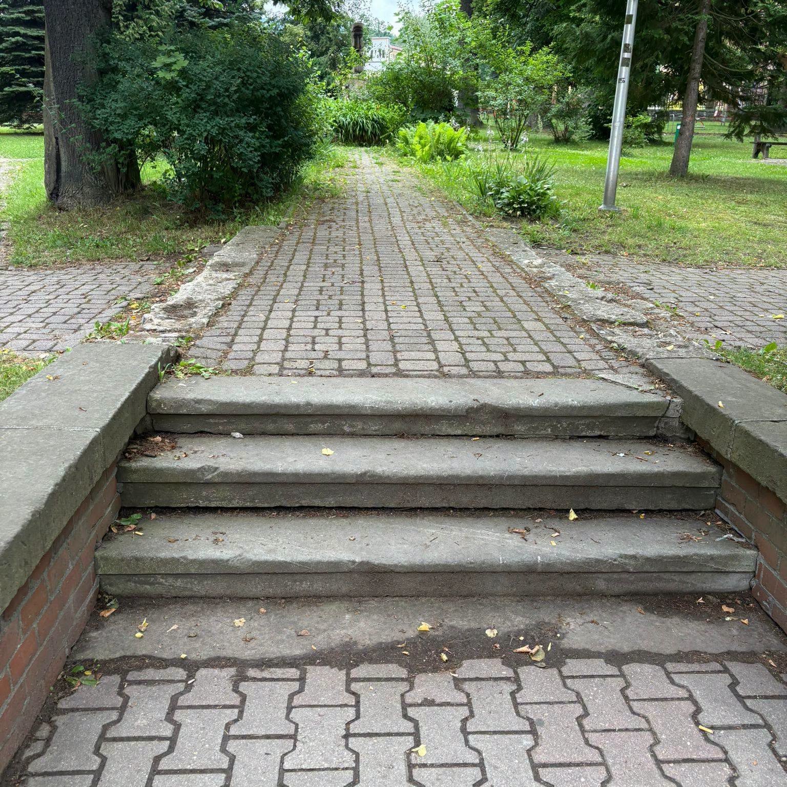 Głuszyca pięknieje