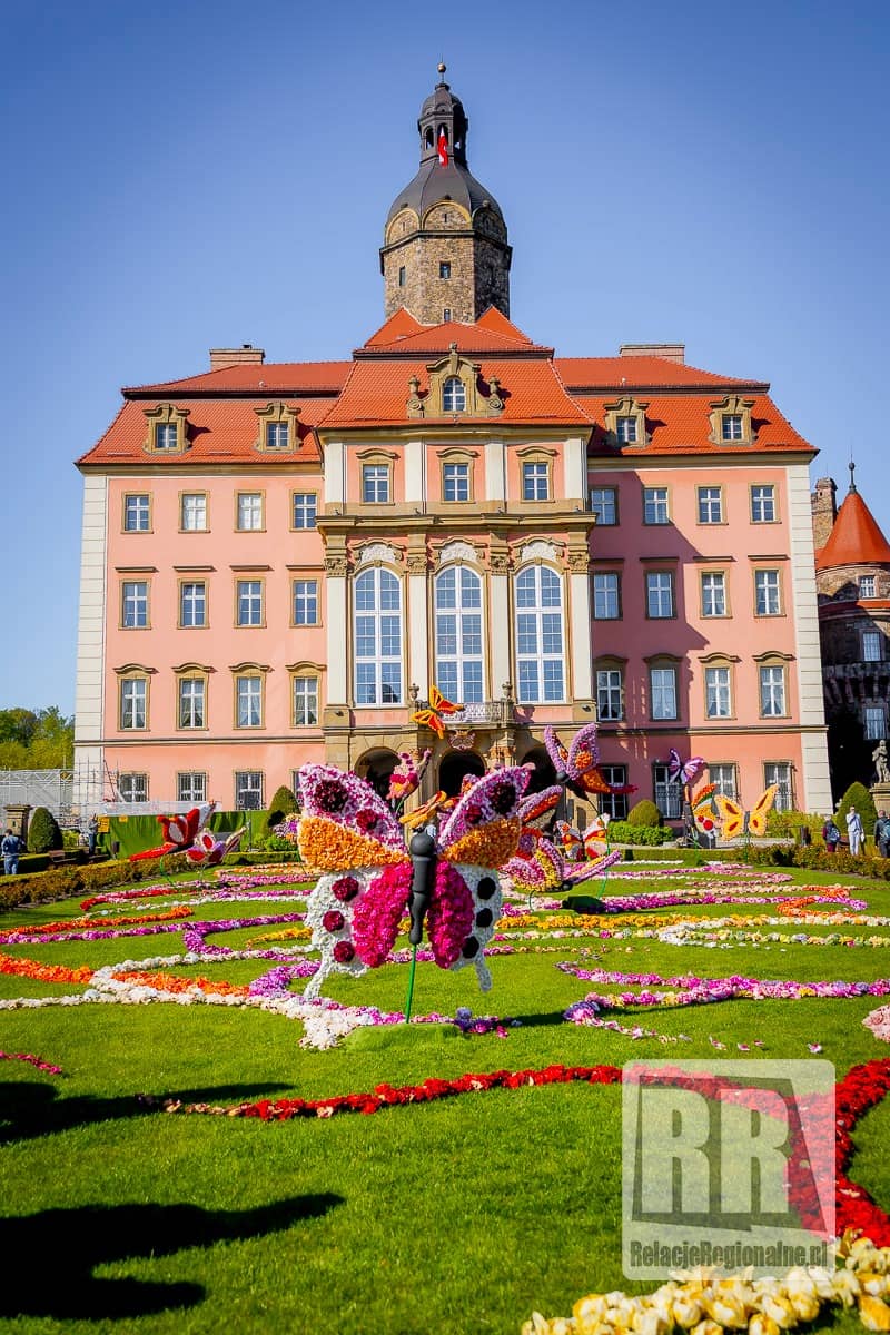 Trwa Festiwal Kwiatów
