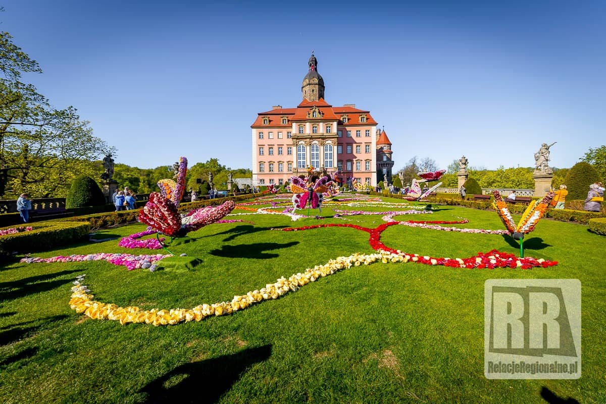 Trwa Festiwal Kwiatów