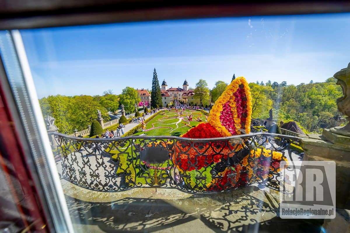 Trwa Festiwal Kwiatów