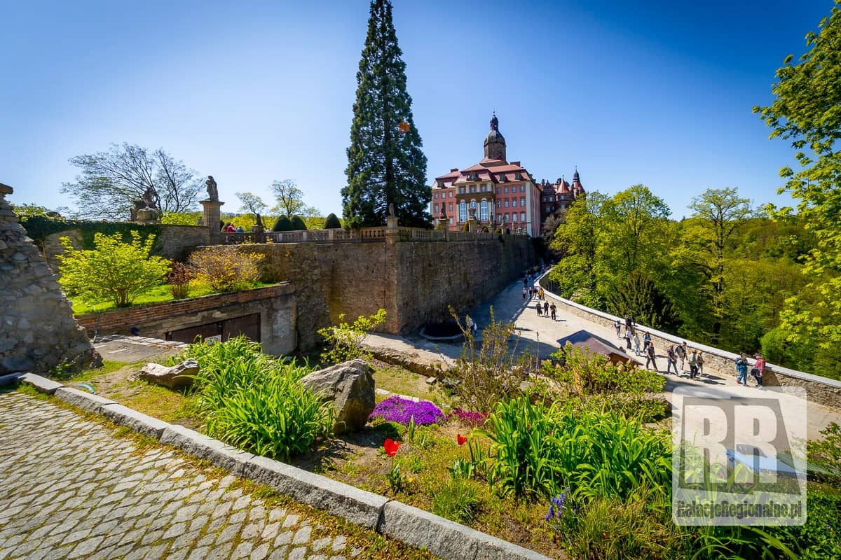 Trwa Festiwal Kwiatów