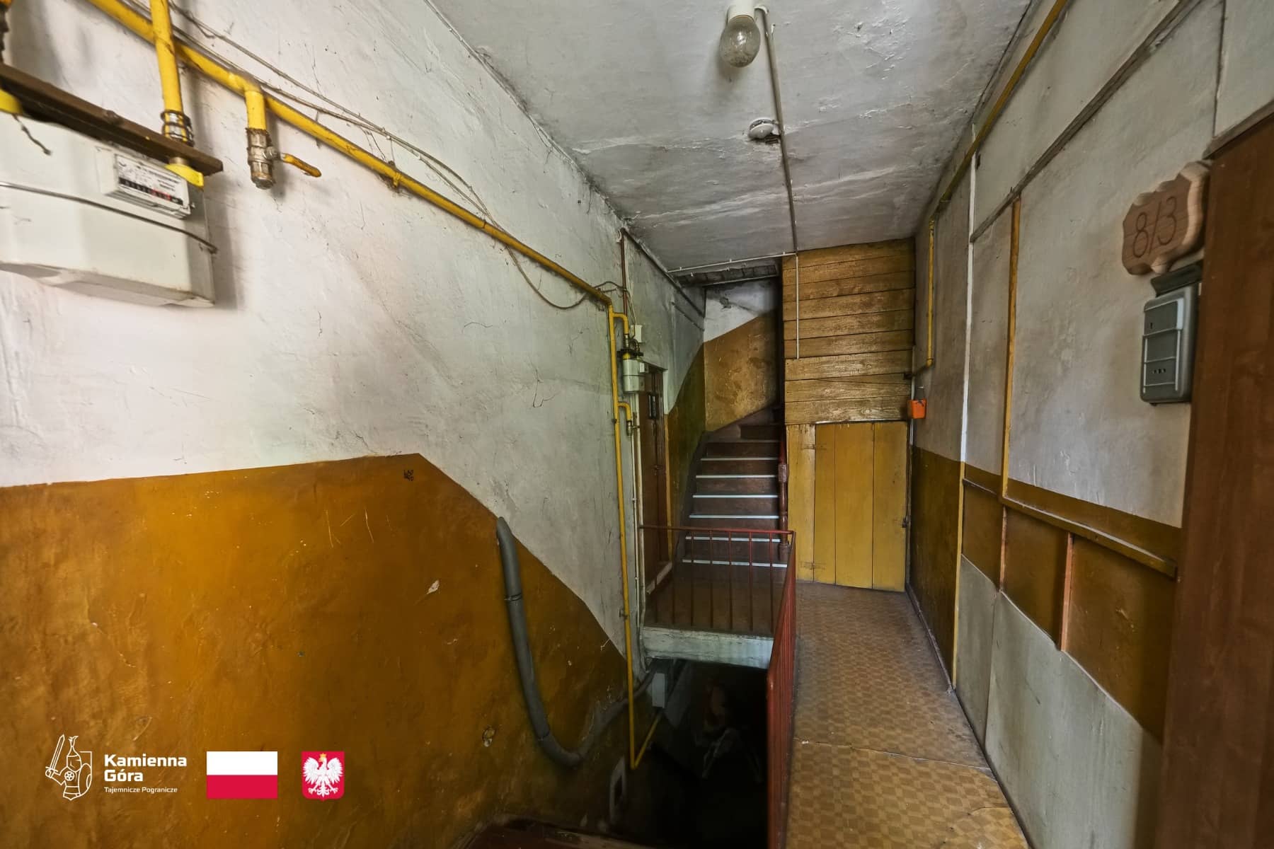 Sprawdzają złożone oferty