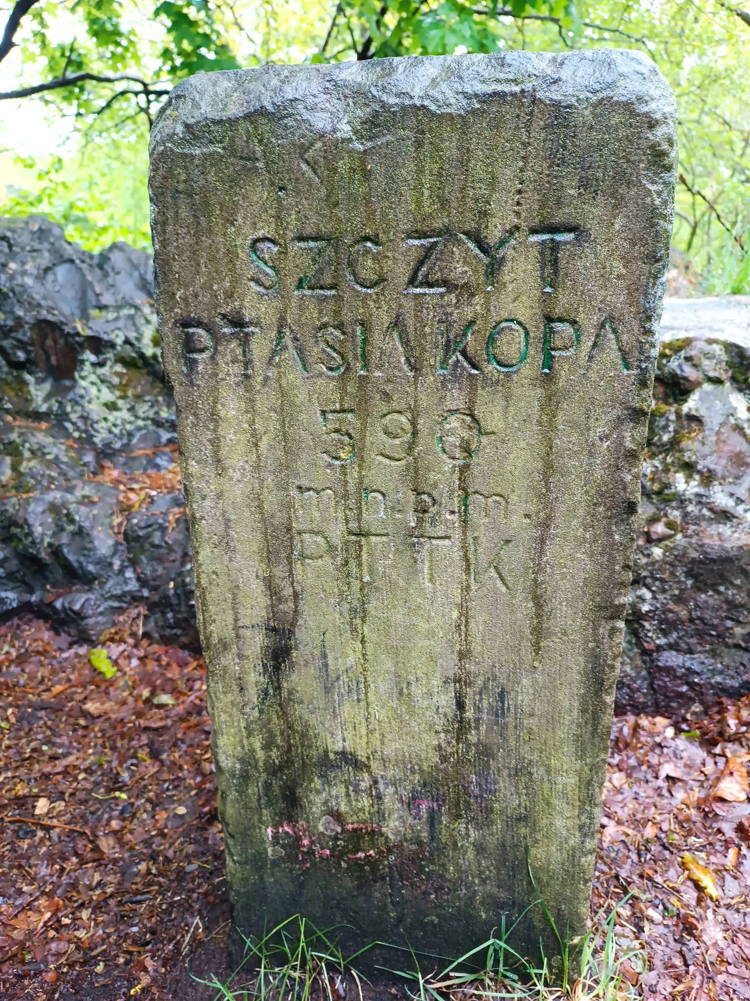 Młodzież na szlaku