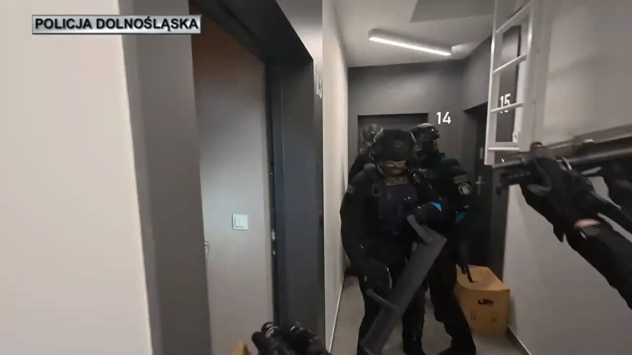 Rozbita zorganizowana grupa przestępcza