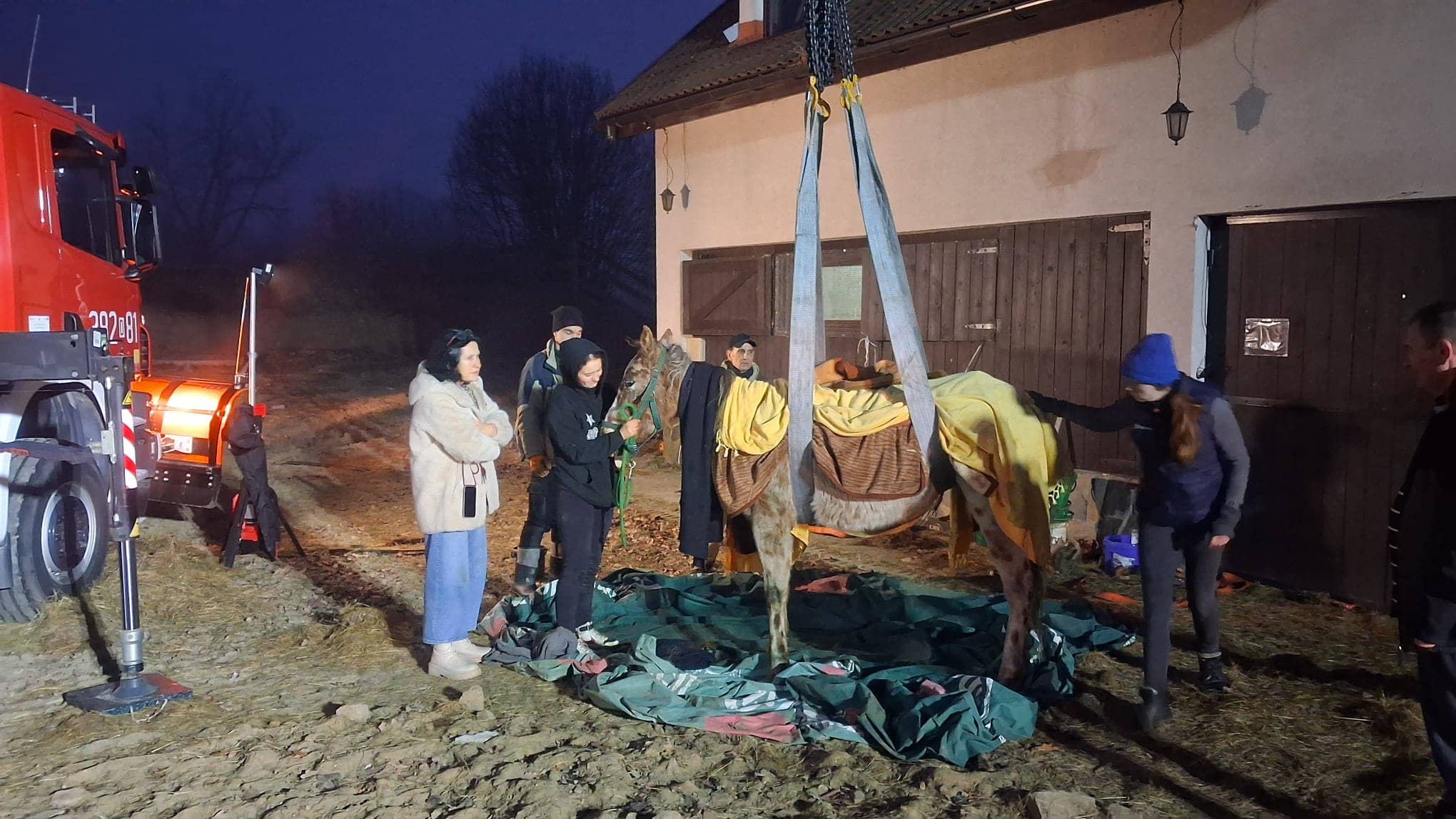 Koń przetransportowany do kliniki