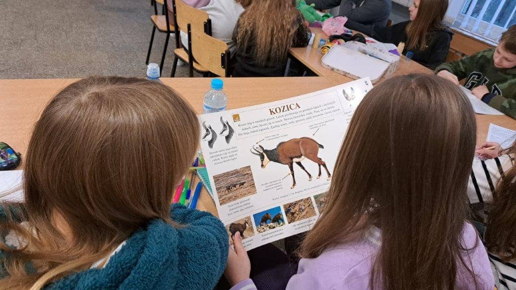 Zajęcia podczas ferii zimowych w OSK