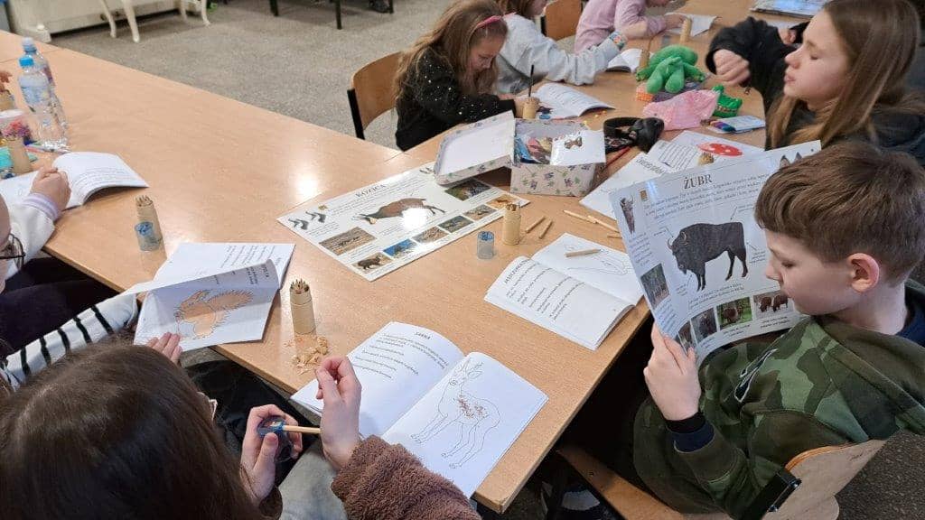Zajęcia podczas ferii zimowych w OSK