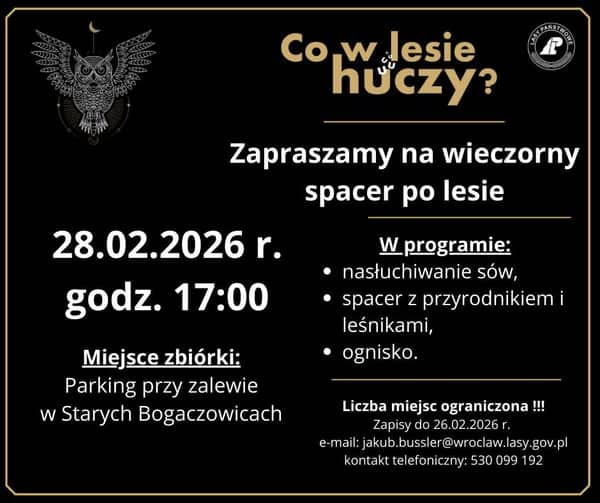 Wieczorny spacer po lesie