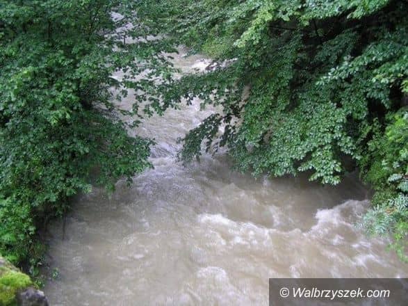 Zwłoki w Pełcznicy