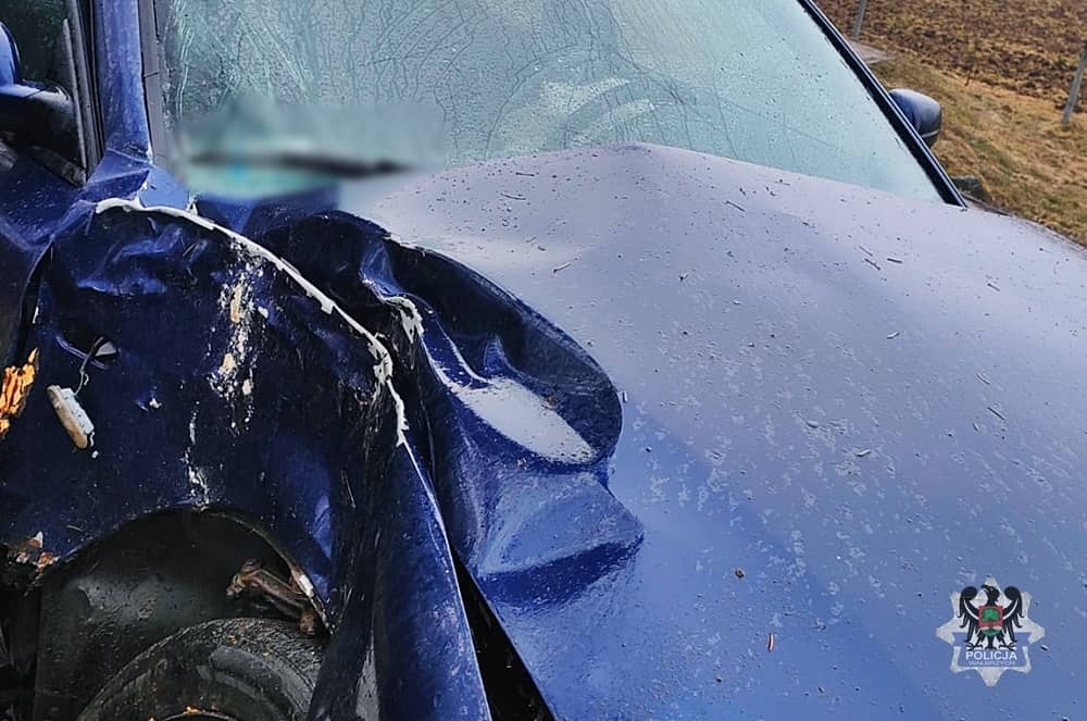 Samochód uderzył w drzewo. Dwie osoby w szpitalu