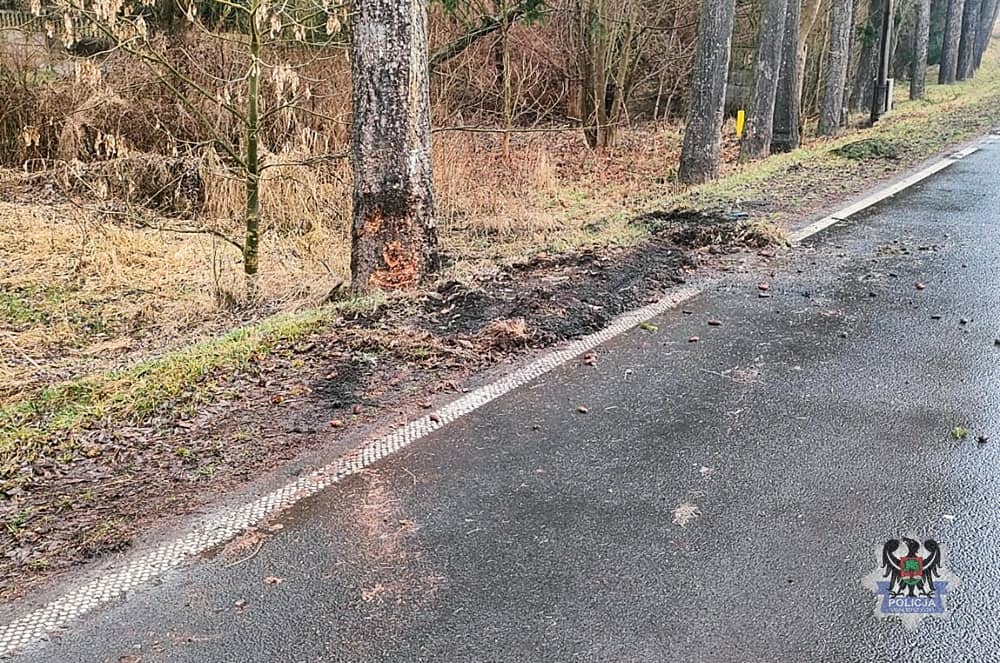 Samochód uderzył w drzewo. Dwie osoby w szpitalu