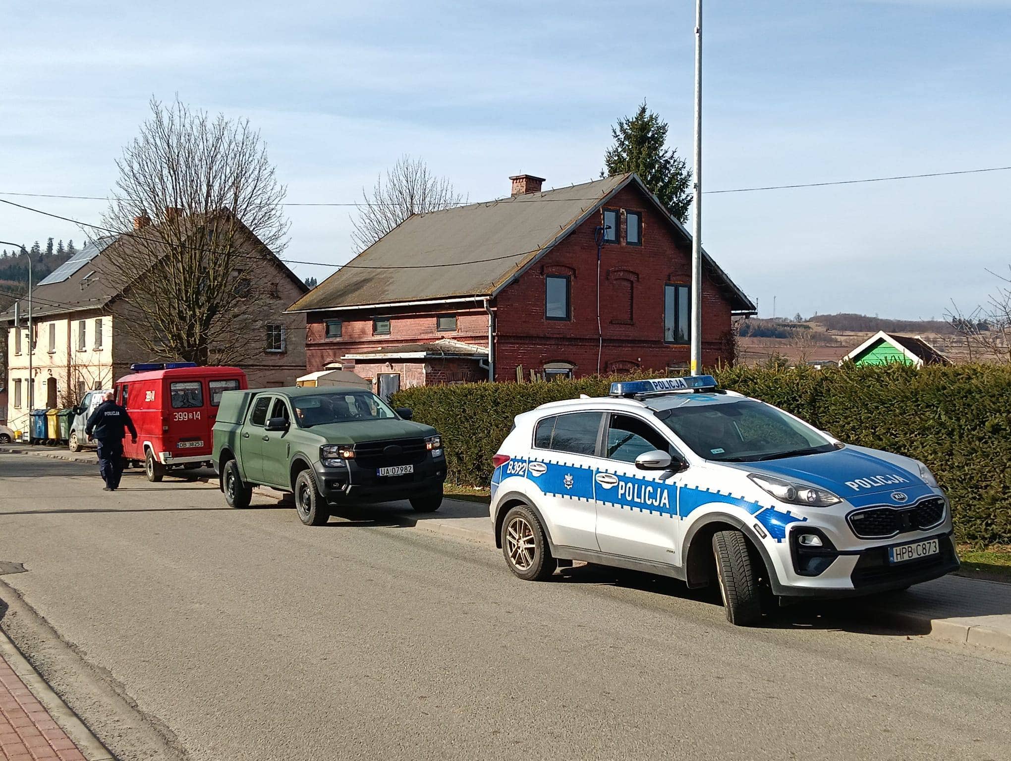 Wilk zginął pod kołami