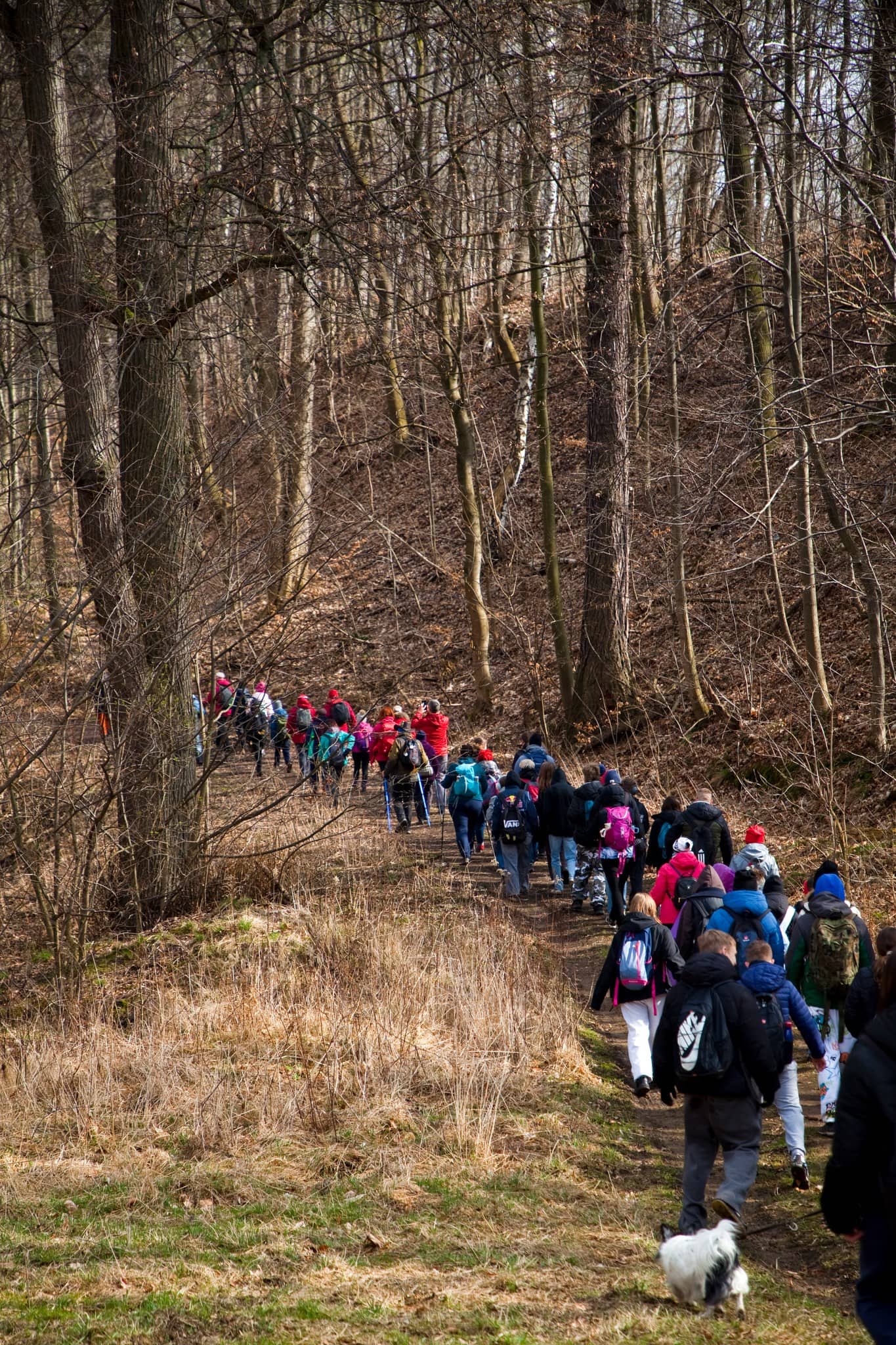 Powitali wiosnę w radosnej atmosferze