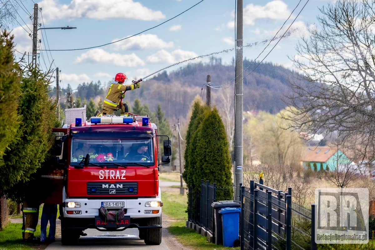 Śmigus–dyngus jak za dawnych lat