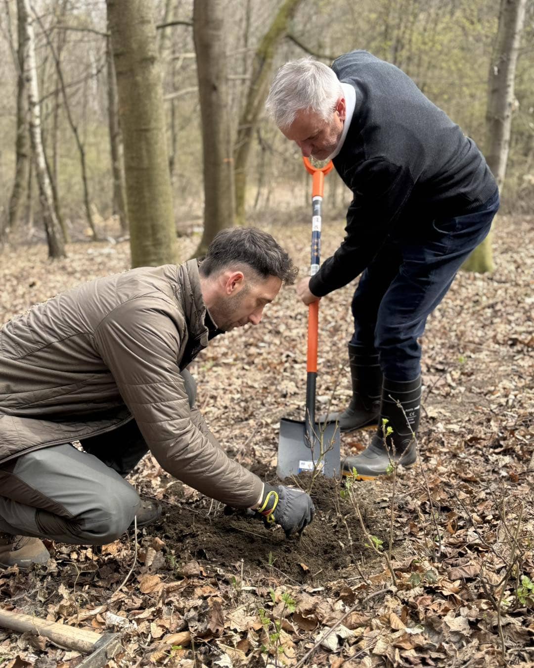 Posprzątali i posadzili