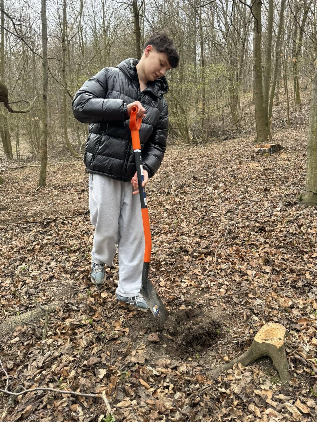 Posprzątali i posadzili