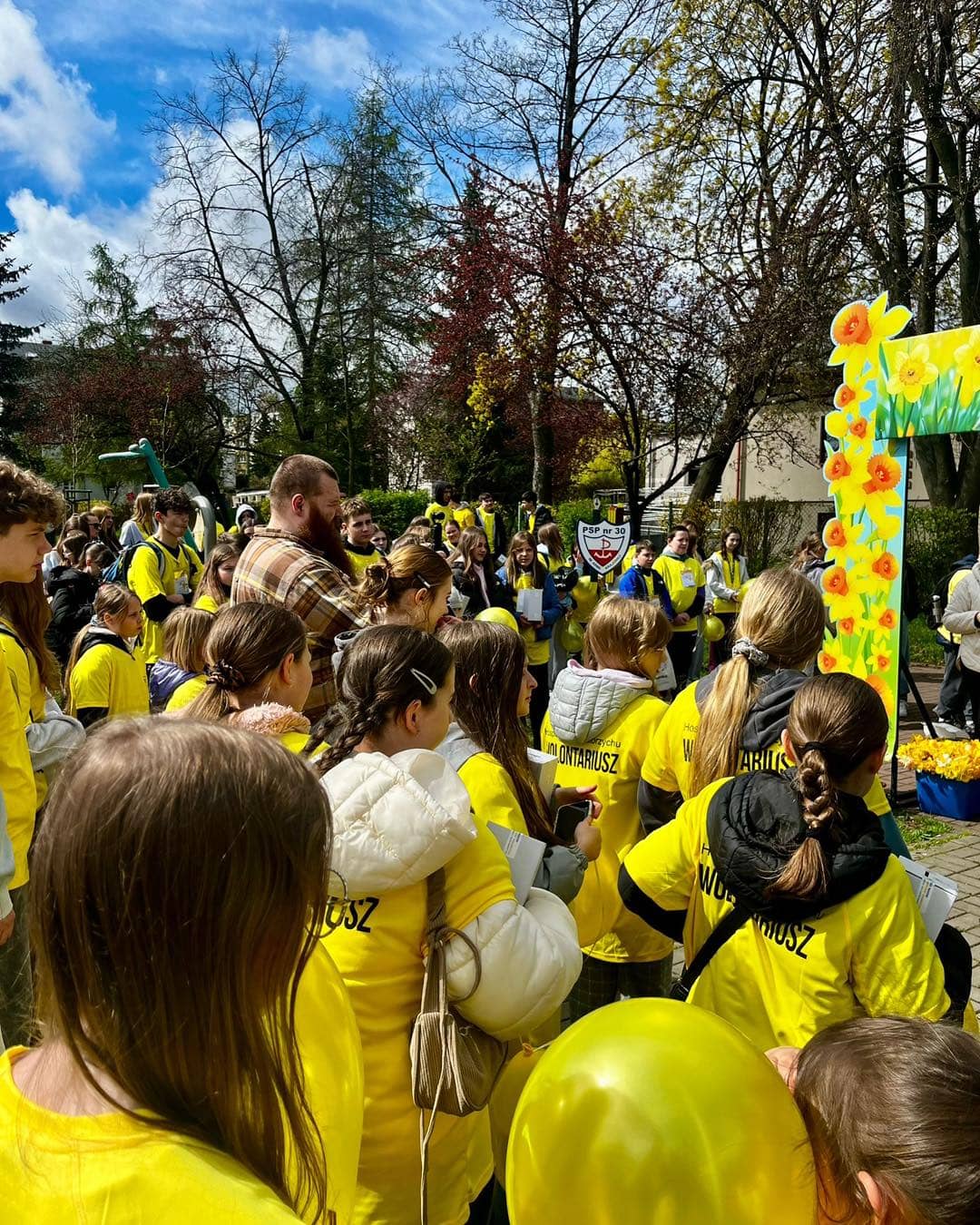 Żonkilowa Kwesta wystartowała