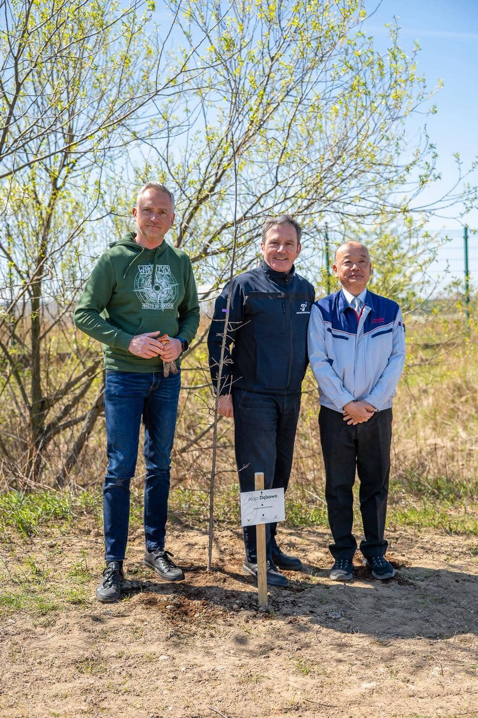 Powstała Aleja Dębowa