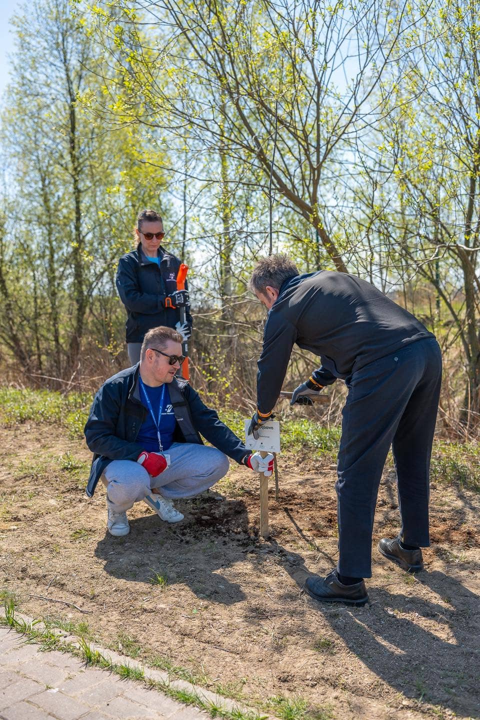 Powstała Aleja Dębowa