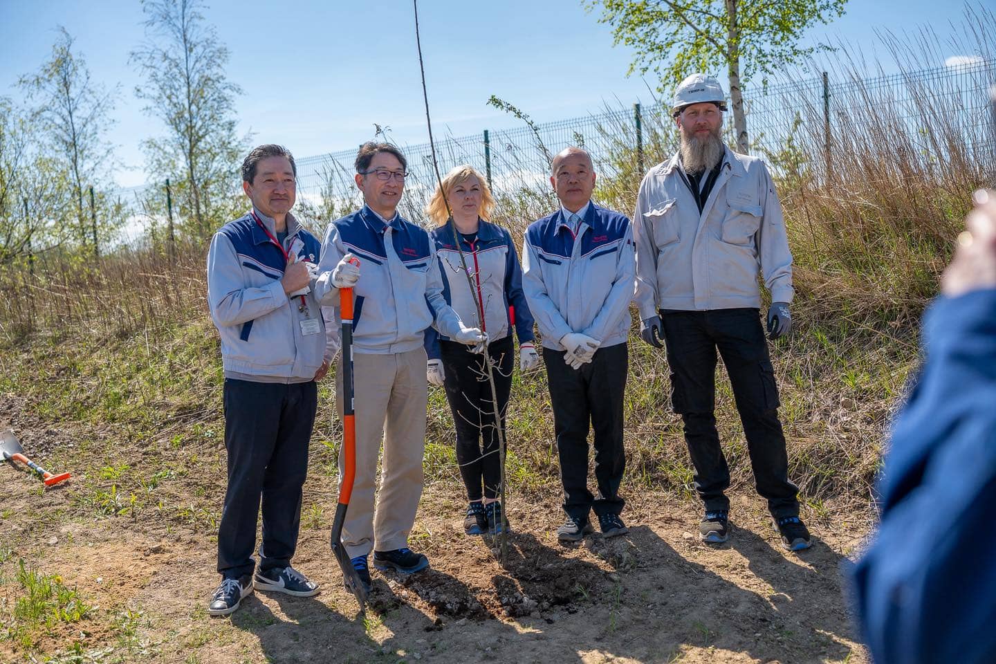 Powstała Aleja Dębowa